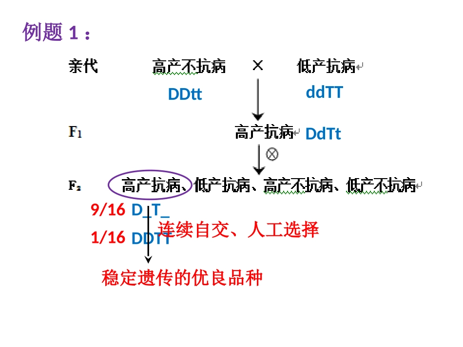 生物进化的历程与证据_第3页
