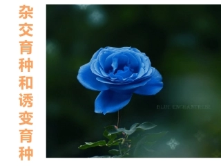 生物进化的历程与证据