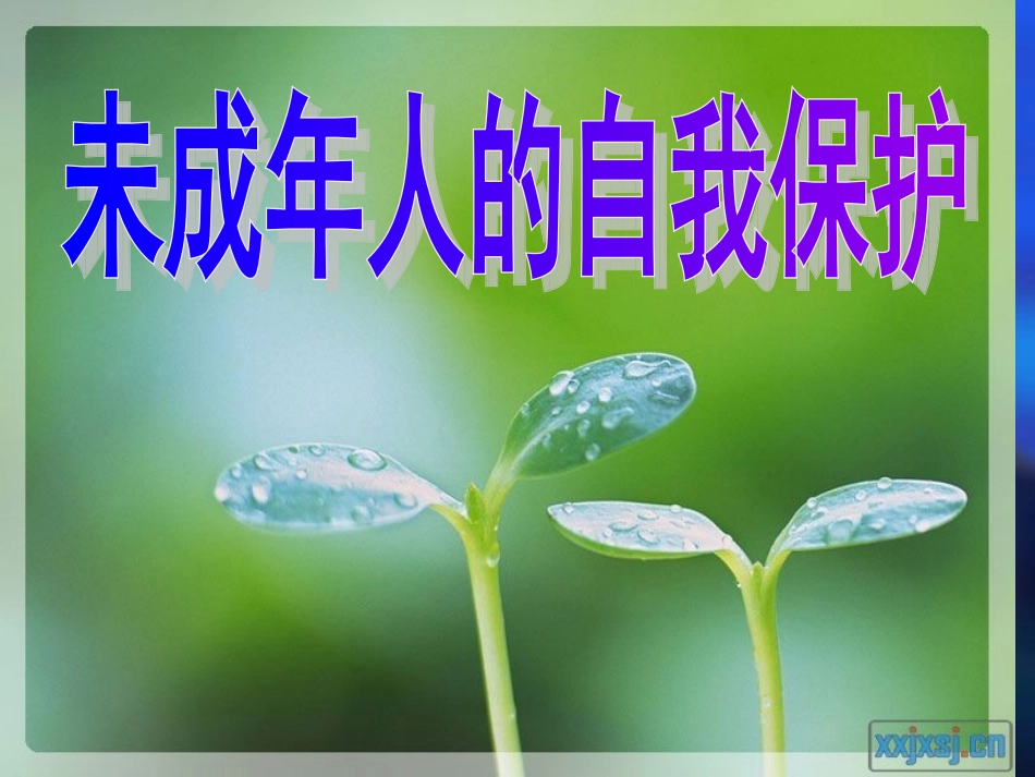 七年级政治下册-第十六课《撑起法律保护伞》课件-鲁教版-_第1页