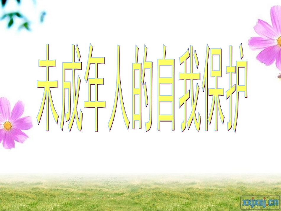 七年级政治下册-第十六课《撑起法律保护伞》课件-鲁教版-_第3页