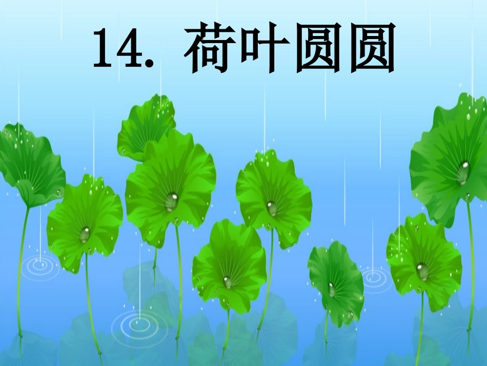 荷叶圆圆ppt_第1页
