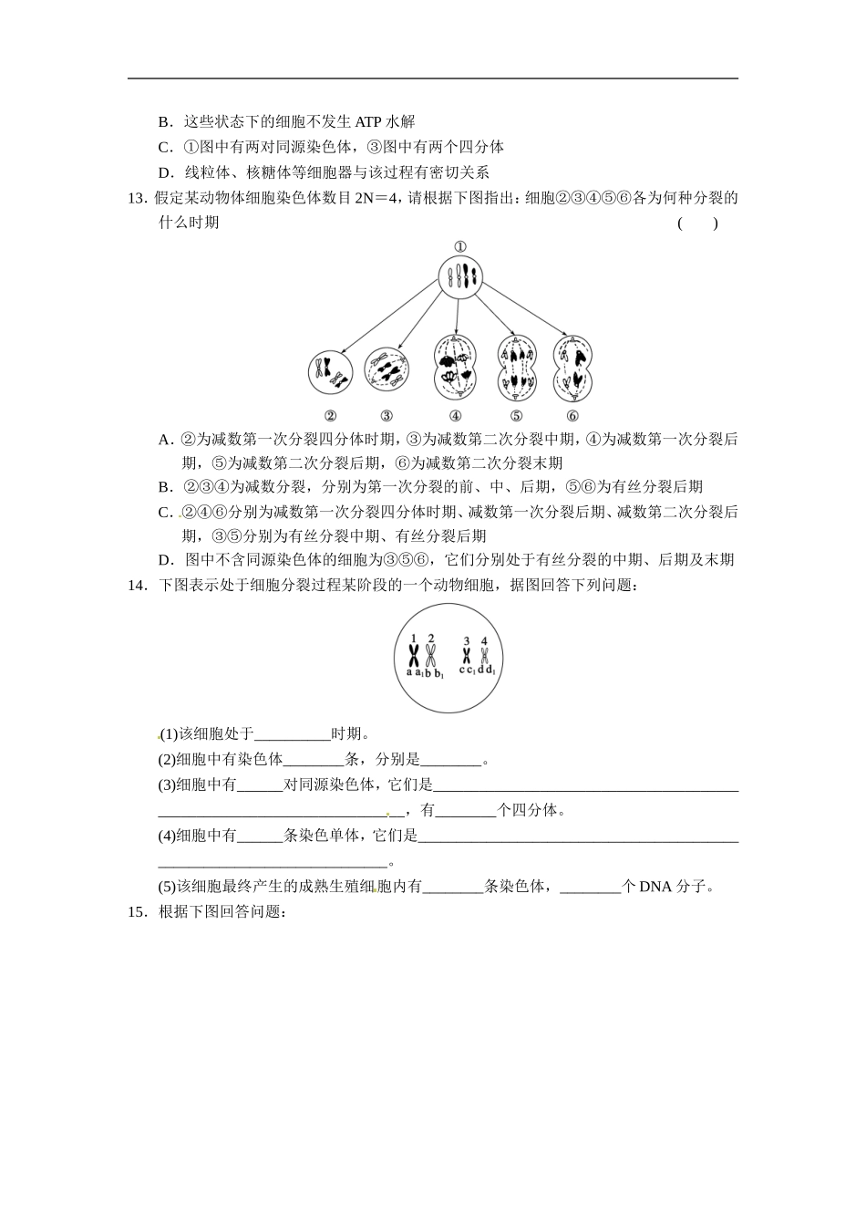 《减数分裂(Ⅰ)》同步练习1-1_第3页