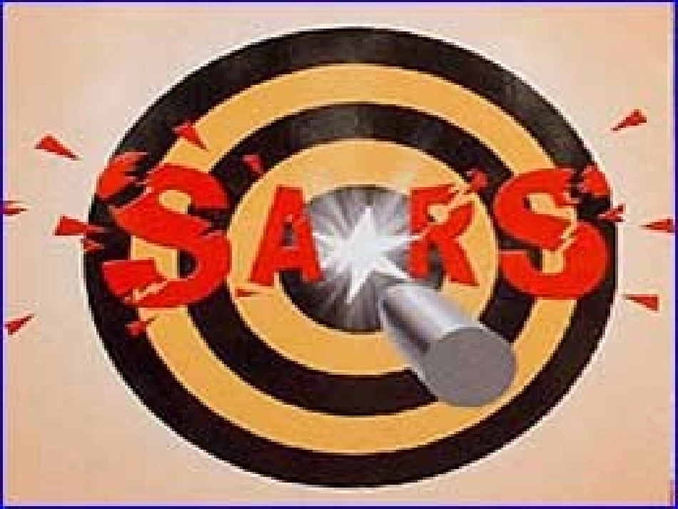 九年级语文上册第四单元19《请为我的父母祈祷》课件上海五四制版_第1页