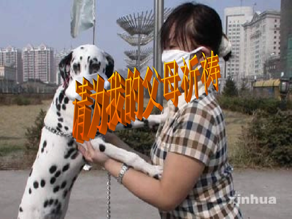 九年级语文上册第四单元19《请为我的父母祈祷》课件上海五四制版_第3页