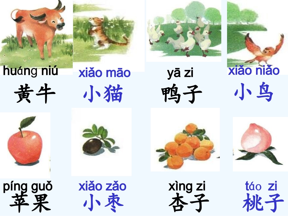 (部编)人教2011课标版一年级上册识字7《大小多少》第一课时课件_第2页