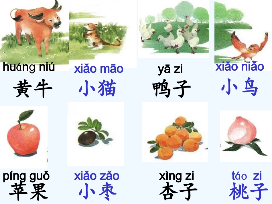 (部编)人教2011课标版一年级上册识字7《大小多少》第一课时课件_第3页