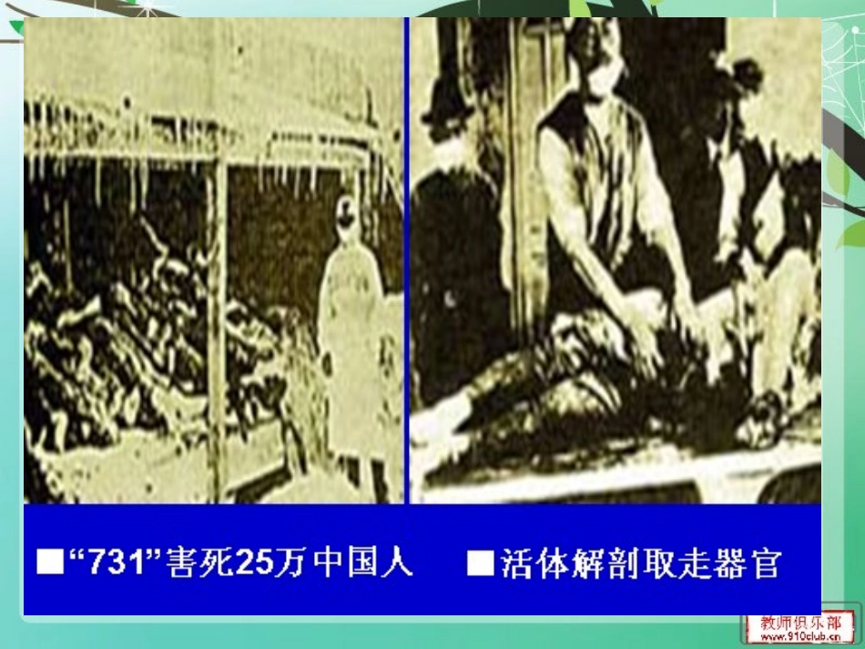4.3-禁止生物武器-(2)_第3页