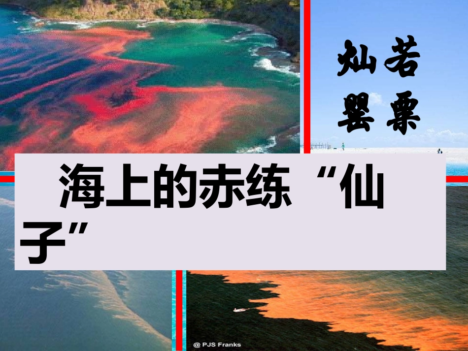 第一节海洋灾害_第2页