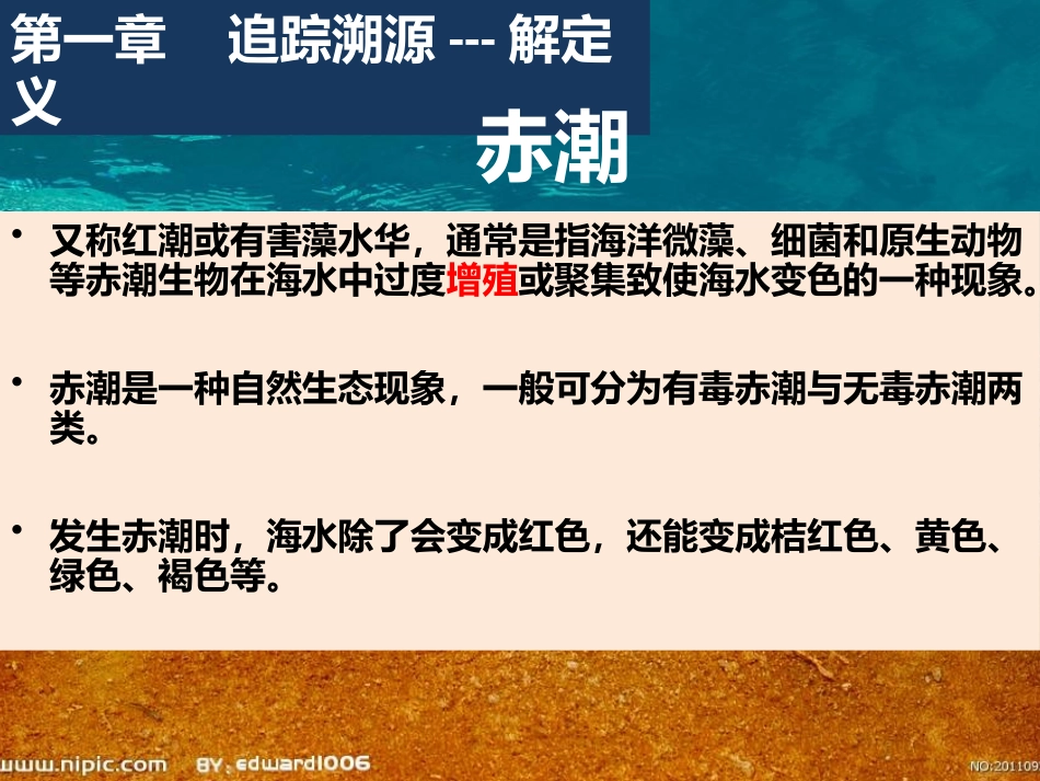 第一节海洋灾害_第3页