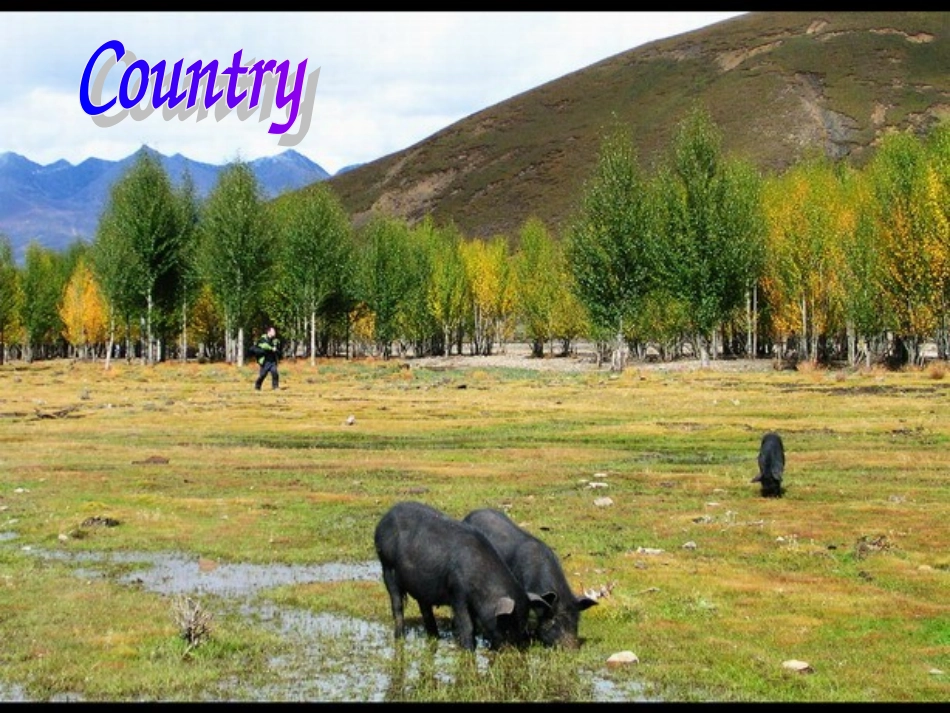 高一英语-Unit-1-lesson-4-City-and-Country-北师大版必修1_第2页