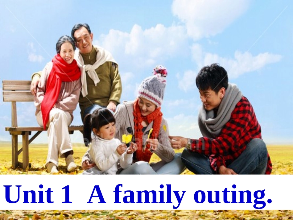 Unit-1-A-family-outing1_第1页
