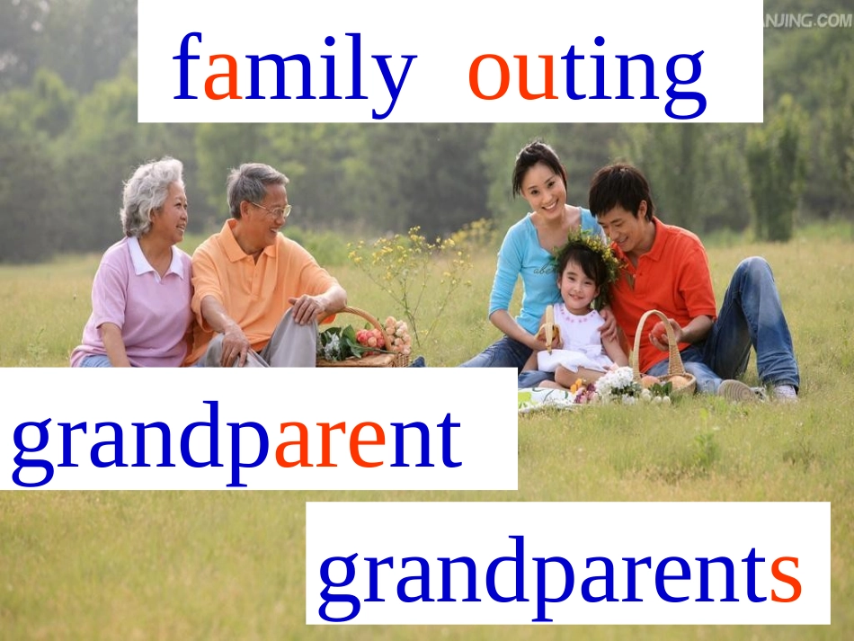 Unit-1-A-family-outing1_第3页