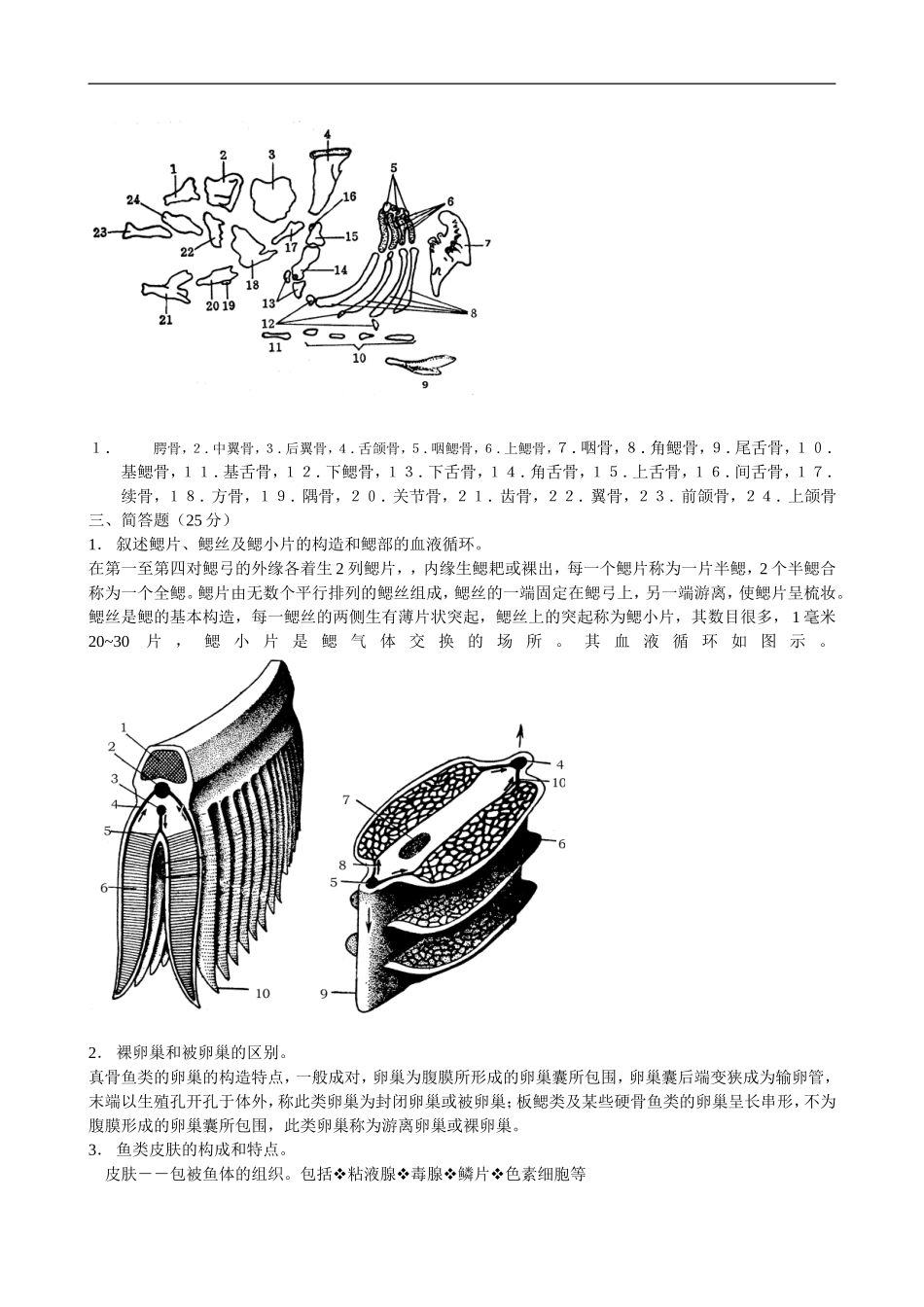 2002-年鱼类学考试试卷答案_第2页