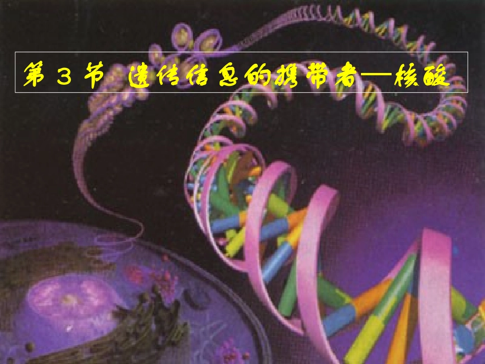 2.3-遗传信息的携带者—核酸-陈新妹_第1页