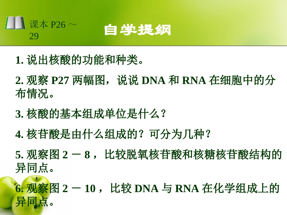 2.3-遗传信息的携带者—核酸-陈新妹_第2页