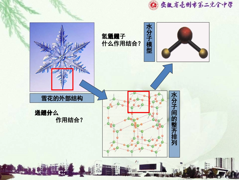 一些典型分子的空间构型_第2页