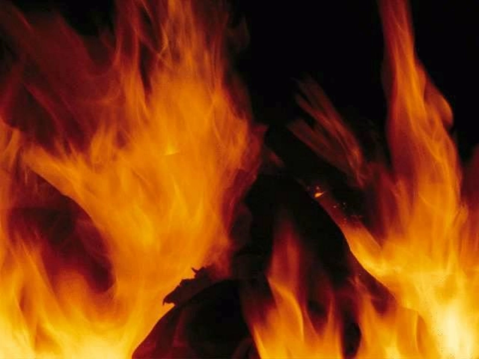 《直面苦难(节选》课件_第2页