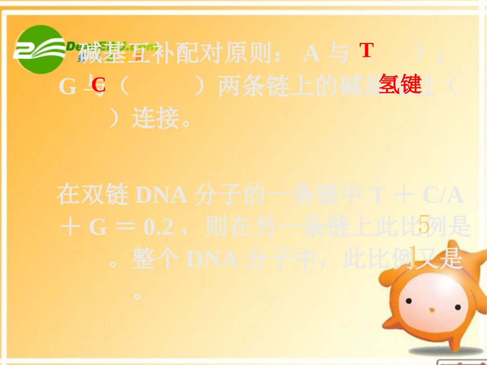 高中生物-DNA的复制-课件2人教版必修2_第3页