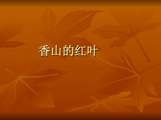 香山红叶的课件