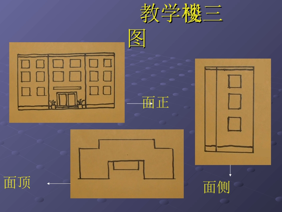 物象的多视角表达_第3页
