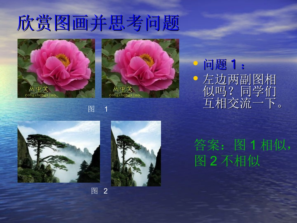 相似图形的性质---课件[1]._第2页
