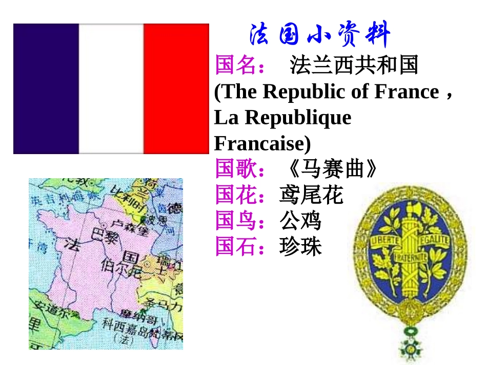 3-法国的民主共和制与半总统议会制_第2页