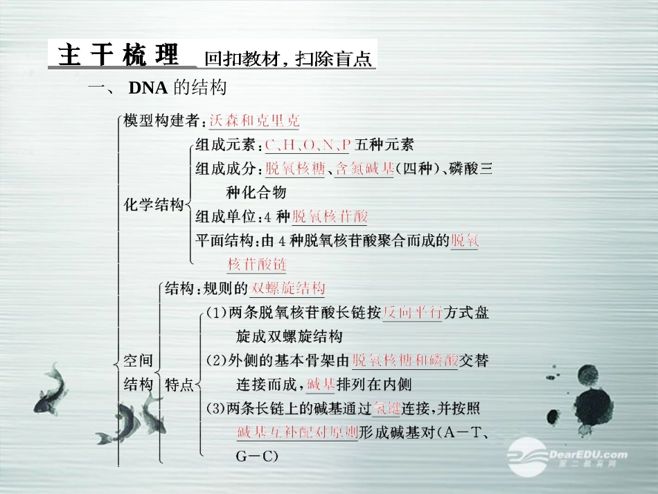【优化探究】2014届高考生物总复习-2-3-2DNA分子的结构、DNA分子的复制、基因是有遗传效应的DNA片段配套课_第2页