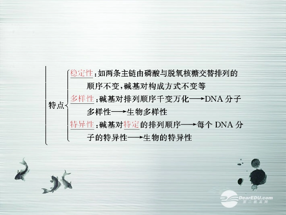 【优化探究】2014届高考生物总复习-2-3-2DNA分子的结构、DNA分子的复制、基因是有遗传效应的DNA片段配套课_第3页