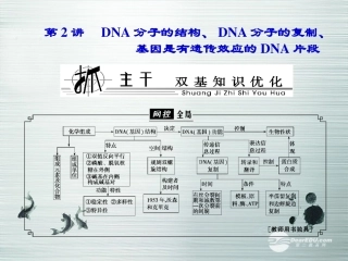【优化探究】2014届高考生物总复习-2-3-2DNA分子的结构、DNA分子的复制、基因是有遗传效应的DNA片段配套课