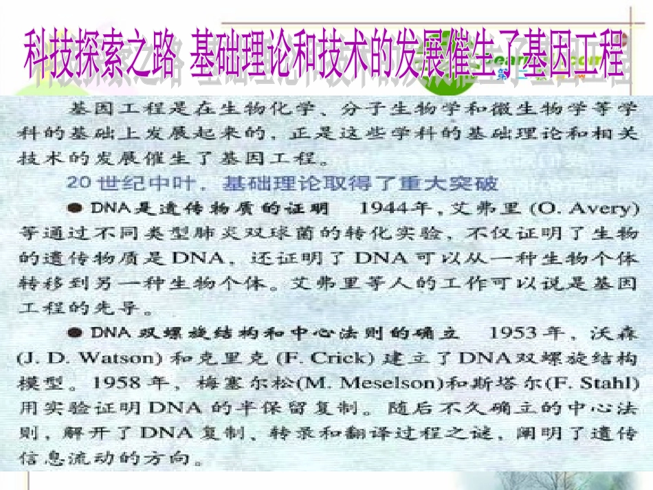 高中生物：-现代生物科技专题(课件)人教版选修3_第2页