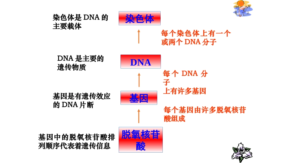 科学前沿-生物信息学_第2页