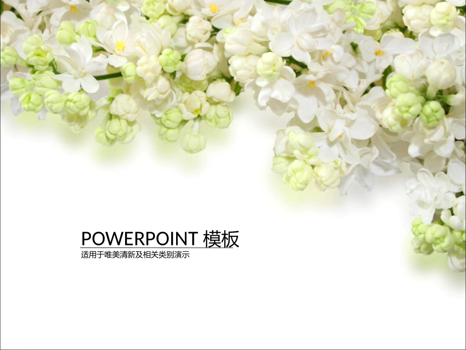 花朵唯美清新PPT模板(光谷一小周静玉)_第1页