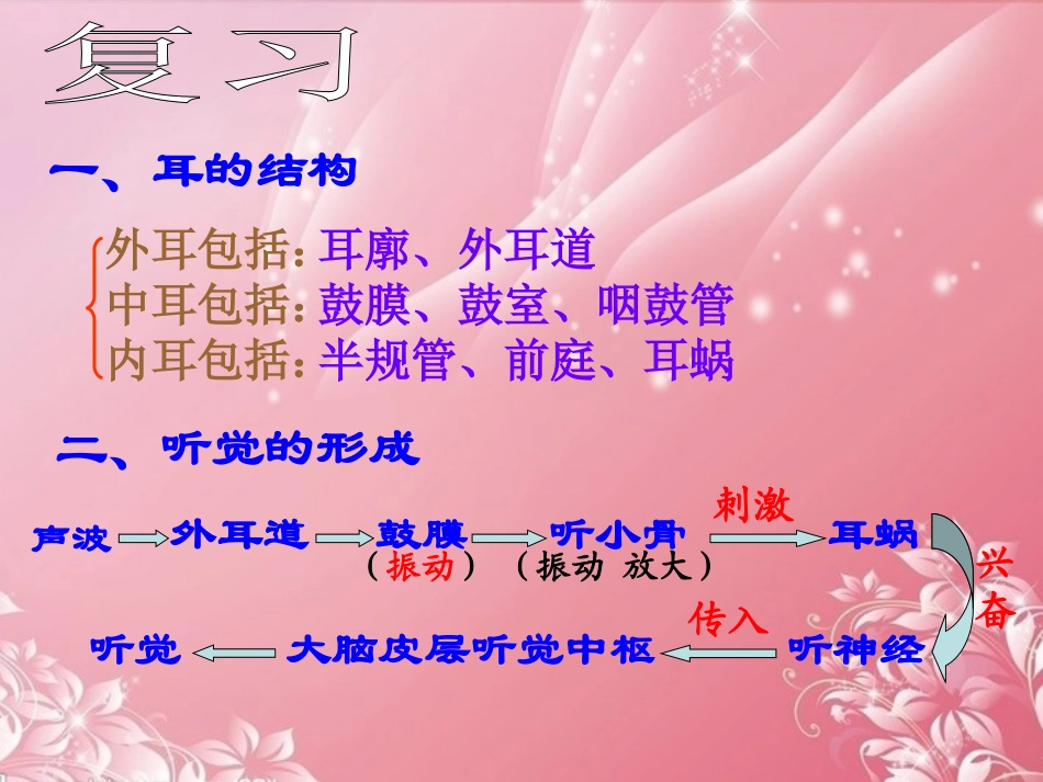 浙江省湖州市第四中学七年级科学-2.3.2耳和听觉课件_第2页