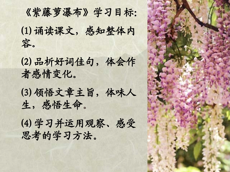 《紫藤萝瀑布》语文七上_第2页