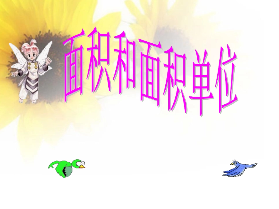 面积和面积单位_第2页