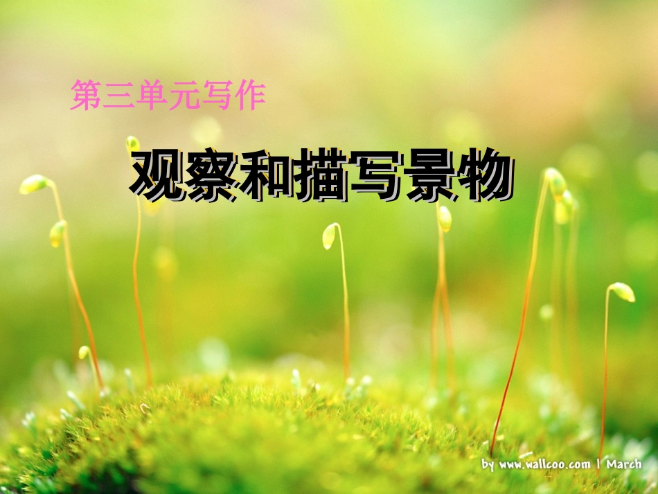 观察和描写景物_第1页