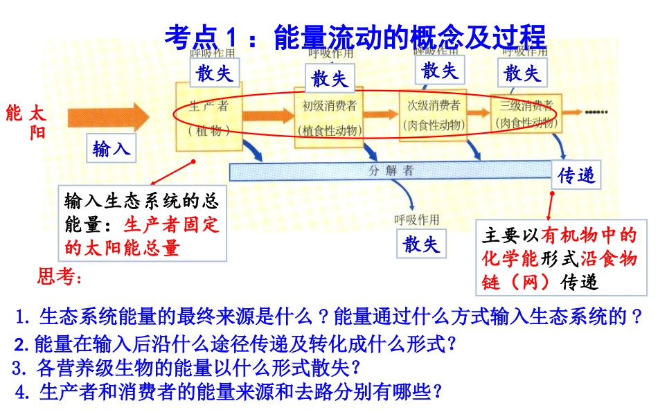 生态系统中的能量流动-(3)_第2页