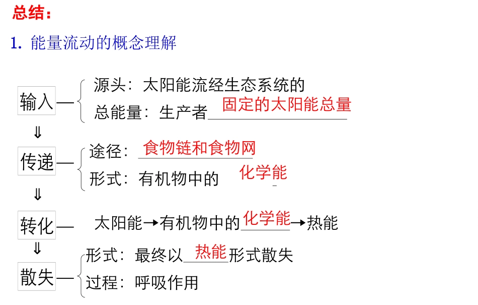 生态系统中的能量流动-(3)_第3页