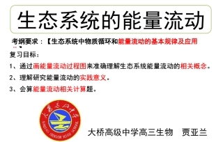 生态系统中的能量流动-(3)