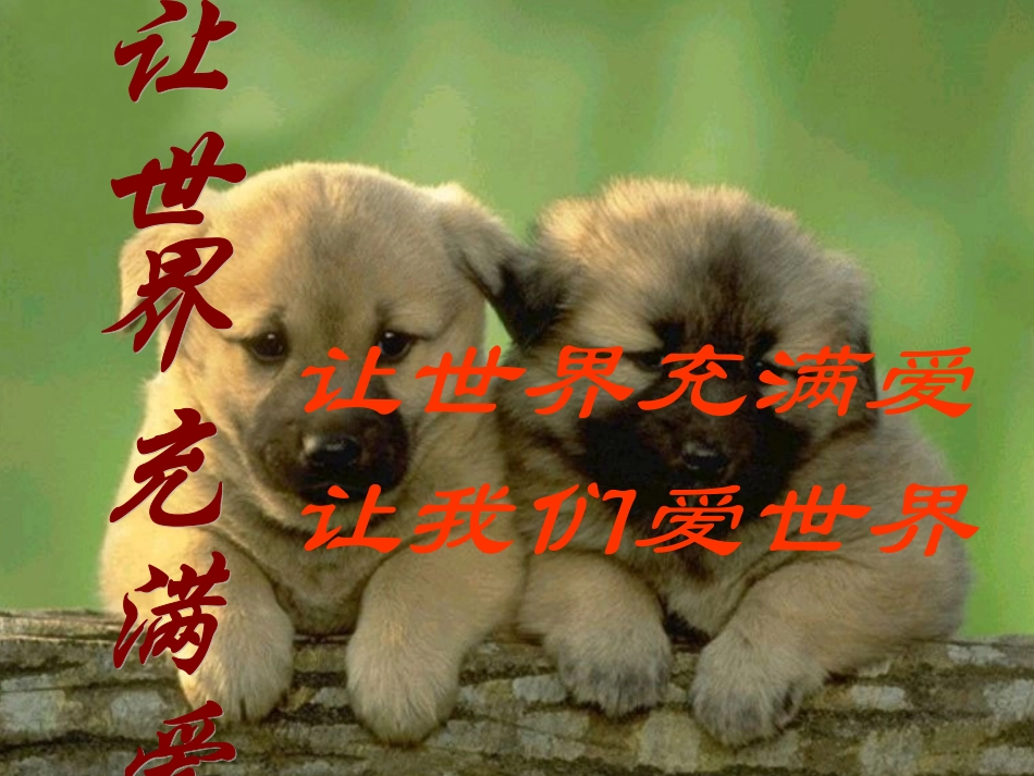 11让世界充满爱_第1页