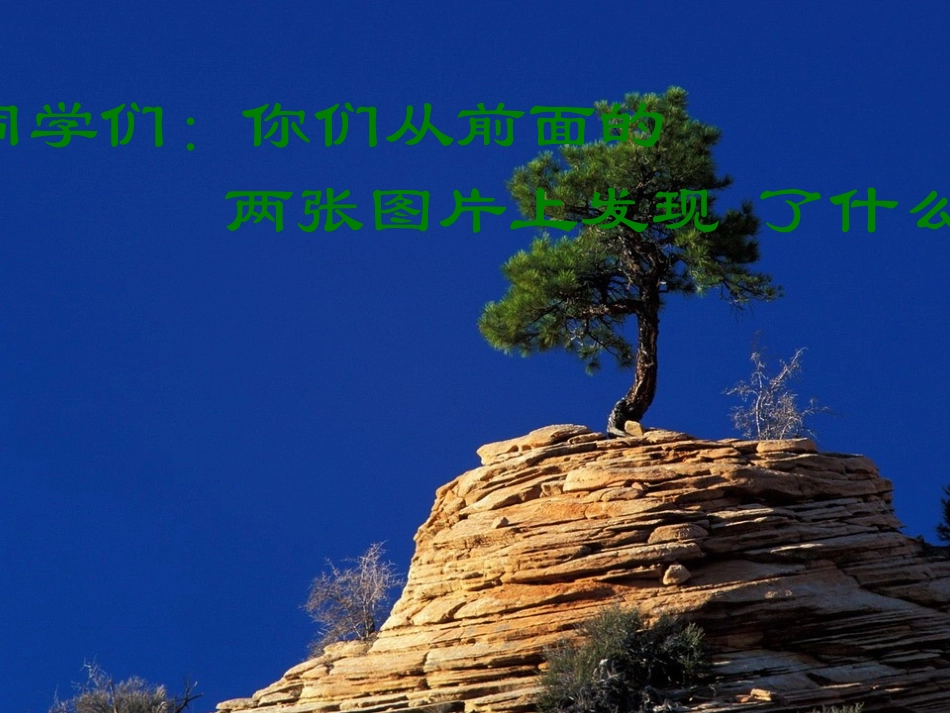 11让世界充满爱_第3页