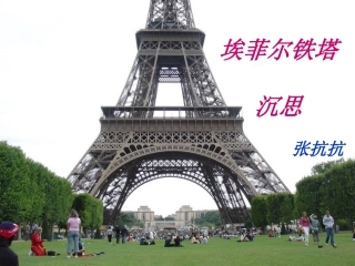 埃菲尔铁塔沉思-(2)