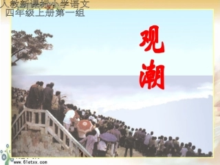 (人教新课标)四年级语文课件观潮