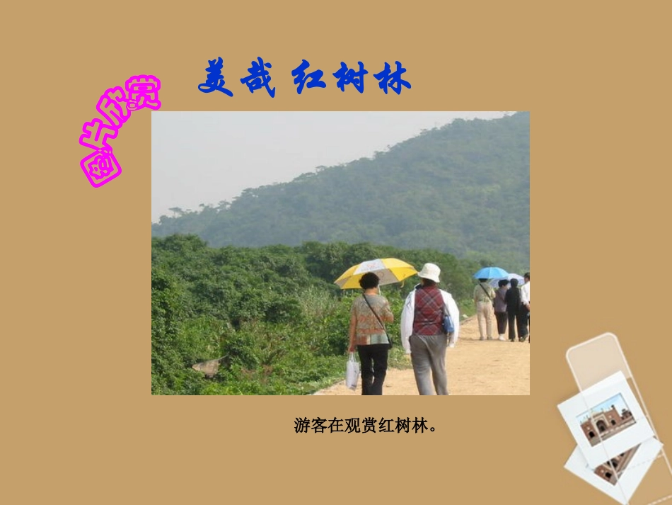 五年级语文上册课件红树林1课件北师大版(1)(1)_第2页