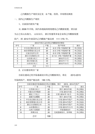 国内己内酰胺及尼龙6生产现状