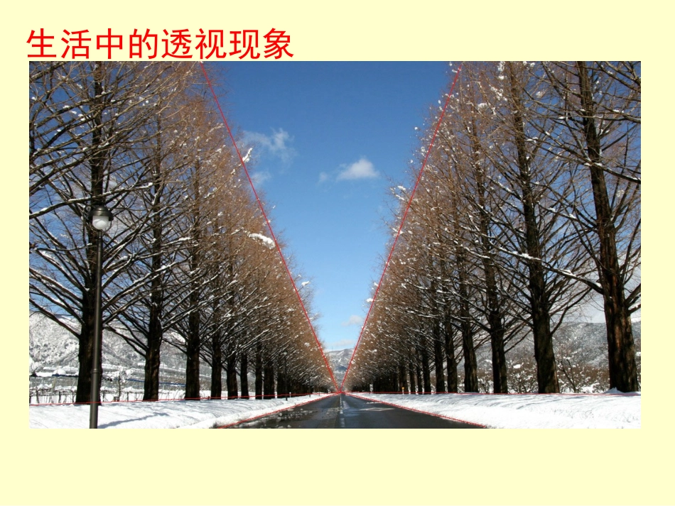 生活中的透视现象-1_第3页