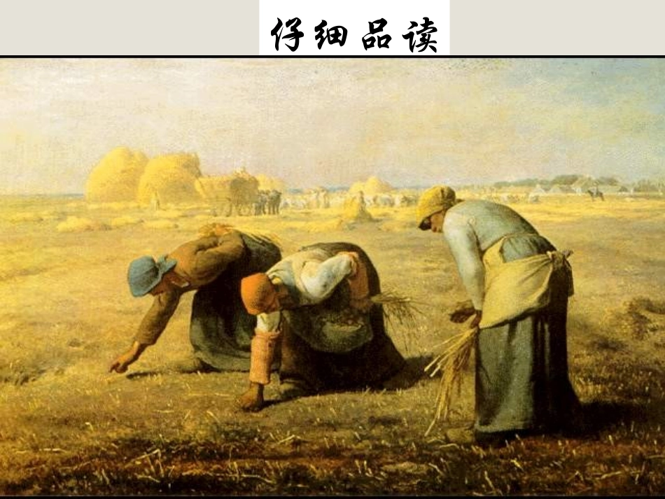 云南省祥云县禾甸中学八年级语文《金黄的稻束》课件_第2页