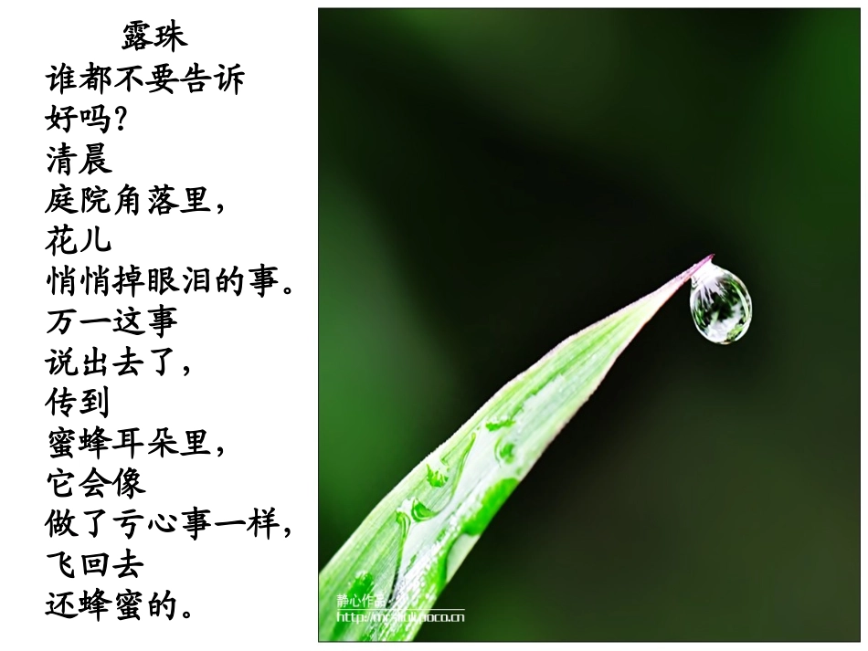 金子美玲儿童诗_第2页