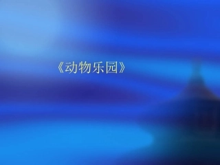 《动物乐园》课件3