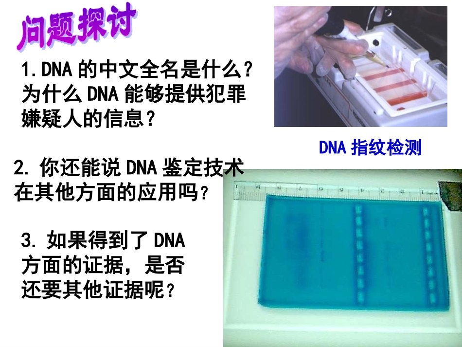 2.3-遗传信息的携带者-核酸-黄玉婵_第2页